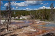 Old Faithful basin